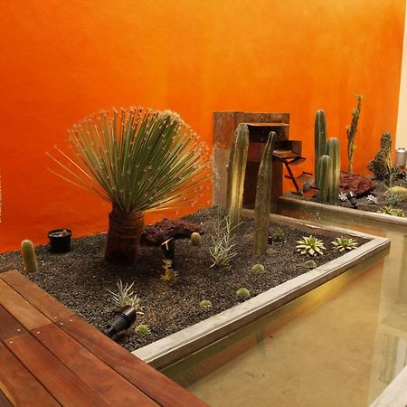 Coyoacan - Inn Ciudad de México Exteriér fotografie