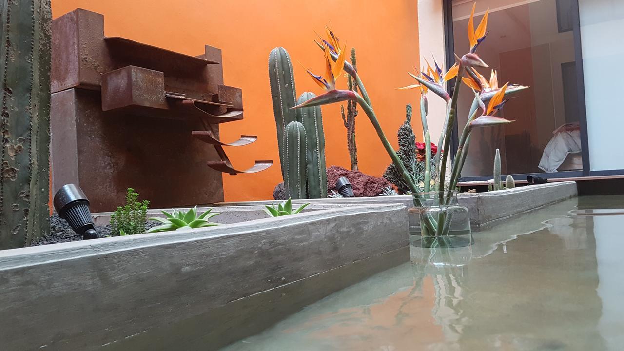 Coyoacan - Inn Ciudad de México Exteriér fotografie