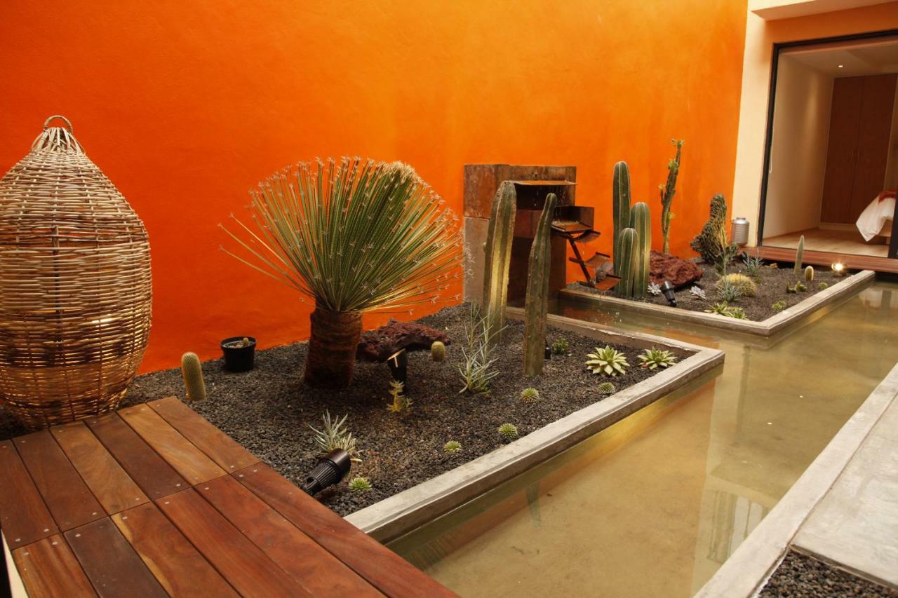 Coyoacan - Inn Ciudad de México Exteriér fotografie